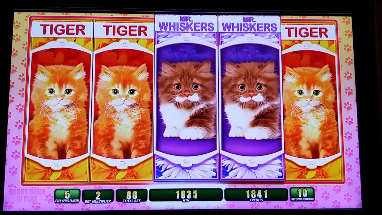 OMG Kittens Slot