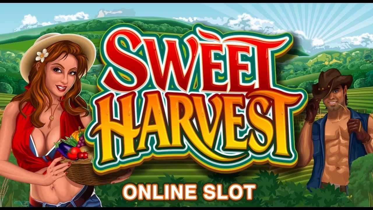 Sweet Harvest