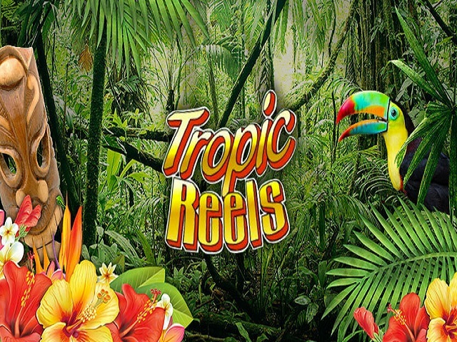 Tropic Reels Slot Machine