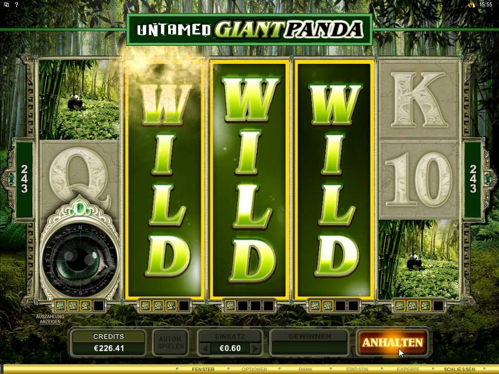 Untamed Giant Panda