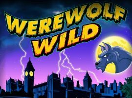 Free wolf run slots download