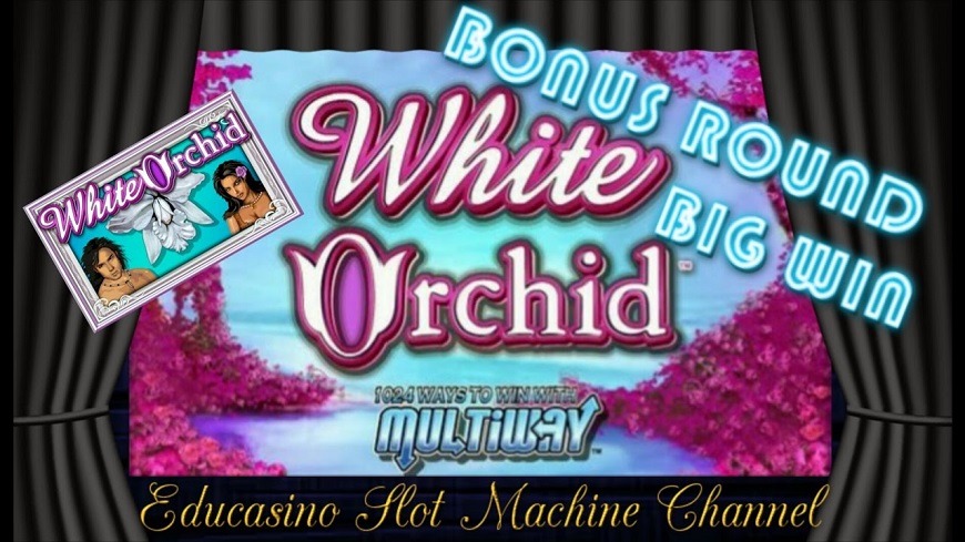 free slots white orchid