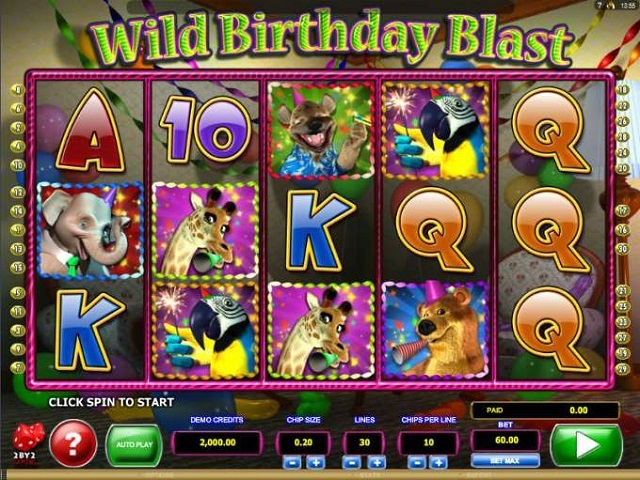 Wild Birthday Blast