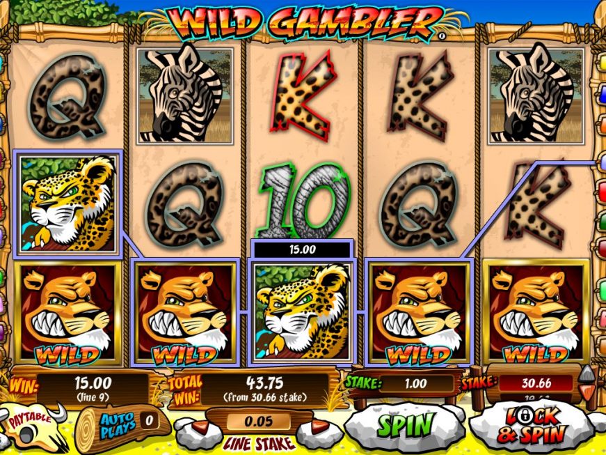 Wild Gambler slot